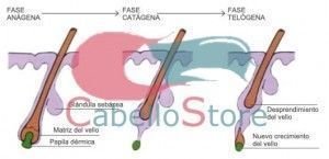 Acelera el crecimiento de tu pelo CabelloStore
