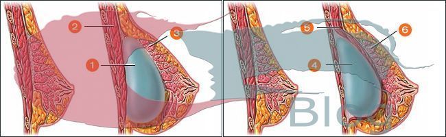 Blog CabelloStore Dr Miguel Fernández Calderón