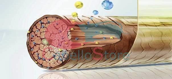 estructura-pelo